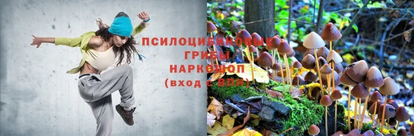 гашишное масло Алзамай