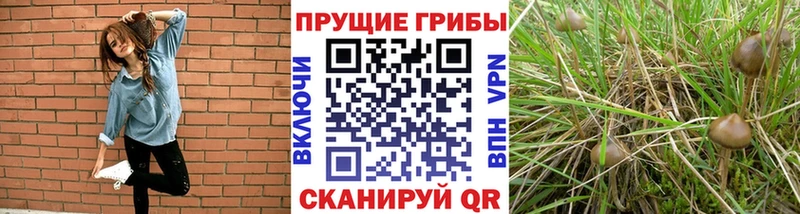 Псилоцибиновые грибы MAGIC MUSHROOMS  Южно-Сахалинск 